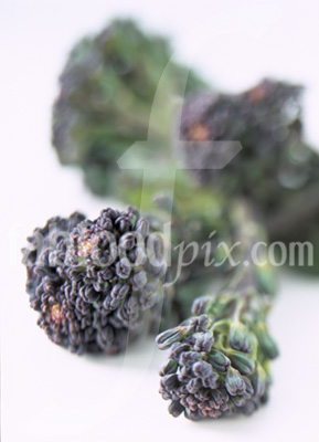 Purple Brocolli photo