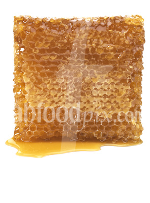 Honeycomb photo