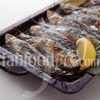 Sardines photo