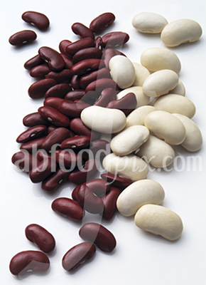 Red Kidney Butter Bean photo