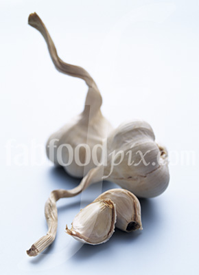 Spanish Garlic Bulb photo