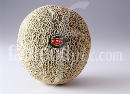 Cantaloupe Melon photo