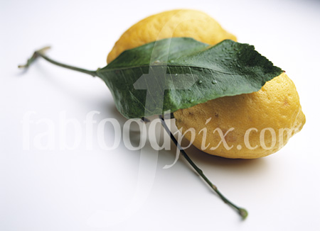 Organic Amalfi Lemons photo