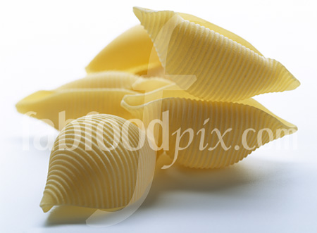 Pasta Shells photo
