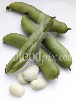 Broad Beans photo