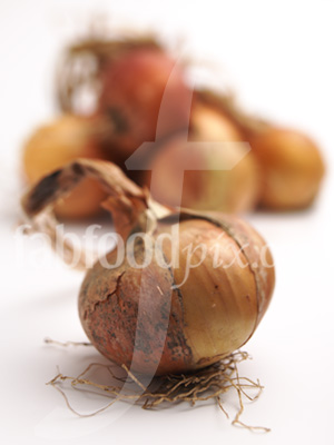 Organic Onions photo