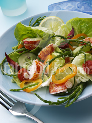 Lobster Salad photo