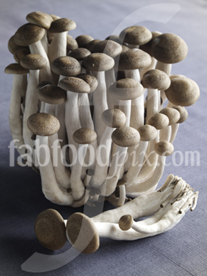 Hon Shemiji Mushrooms photo