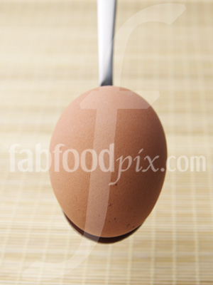 Free Range Egg photo