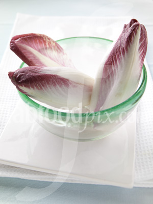 Red Chicory photo