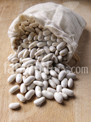Cannelini Beans photo