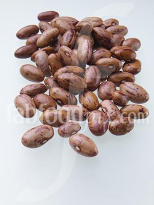 Borlotti Beans photo