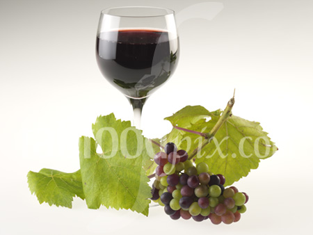 red wine grapes photo
