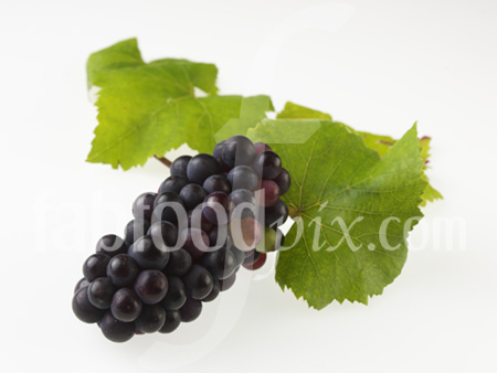 Organic grapes photo