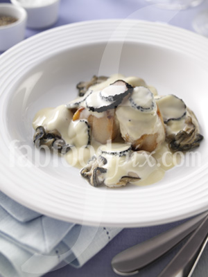 Oysters Scallops photo
