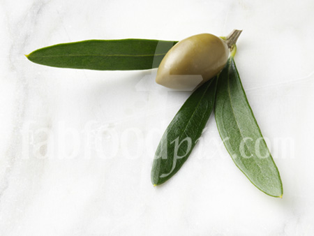 Olives &leaves photo