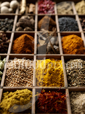 Spices photo