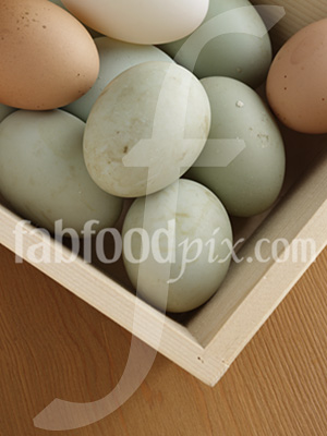 Free Range Eggs photo