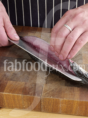 Mackerel and knife photo