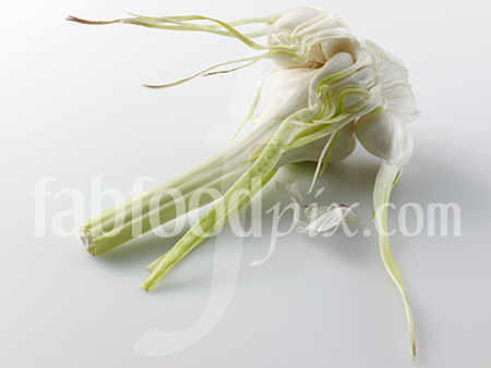 Fresh Garlic photo