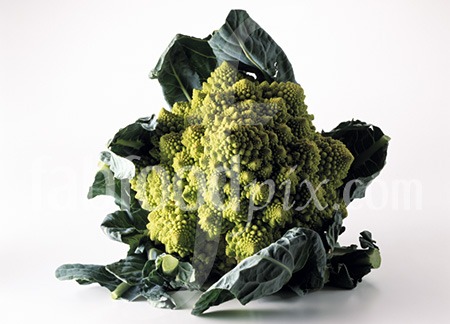 Romanesco cauliflower photo
