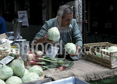 Market cabbages photo