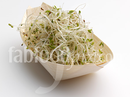 Alfalfa bean sprouts photo