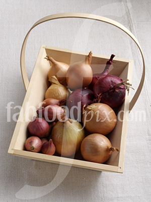 Onions shallots photo