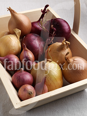 Onions shallots photo