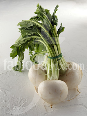 turnips photo