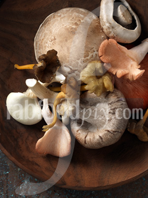 mushroom mix photo