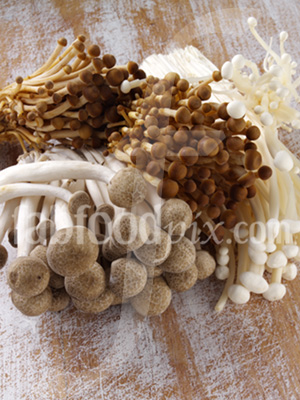 Exotic mushrooms photo