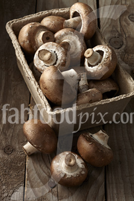 Chestnut_mushrooms photo