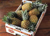 Gold Pineapple box photo