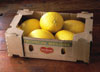 Honeydew Melon Box photo