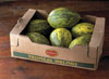 Piel De Sapo Melon Box photo
