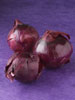 Onions photo
