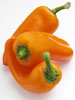 Sweet Peppers photo