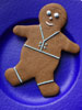 Gingerbread photo