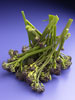 Purple Broccoli photo