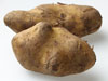 Potatoes photo