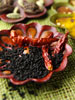 Indian spices photo