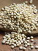 Quinoa seeds photo