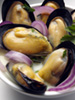 Mussels photo