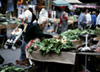 Market radishes photo