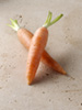 carrots photo