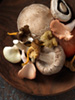 mushroom mix photo