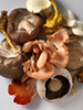 mushrooms mix photo