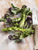 purple broccoli photo