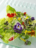 Herb salad photo
